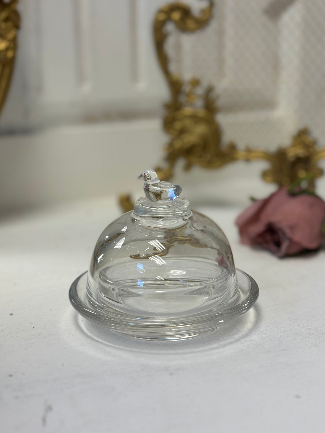 Mini Glass Bird Cloche